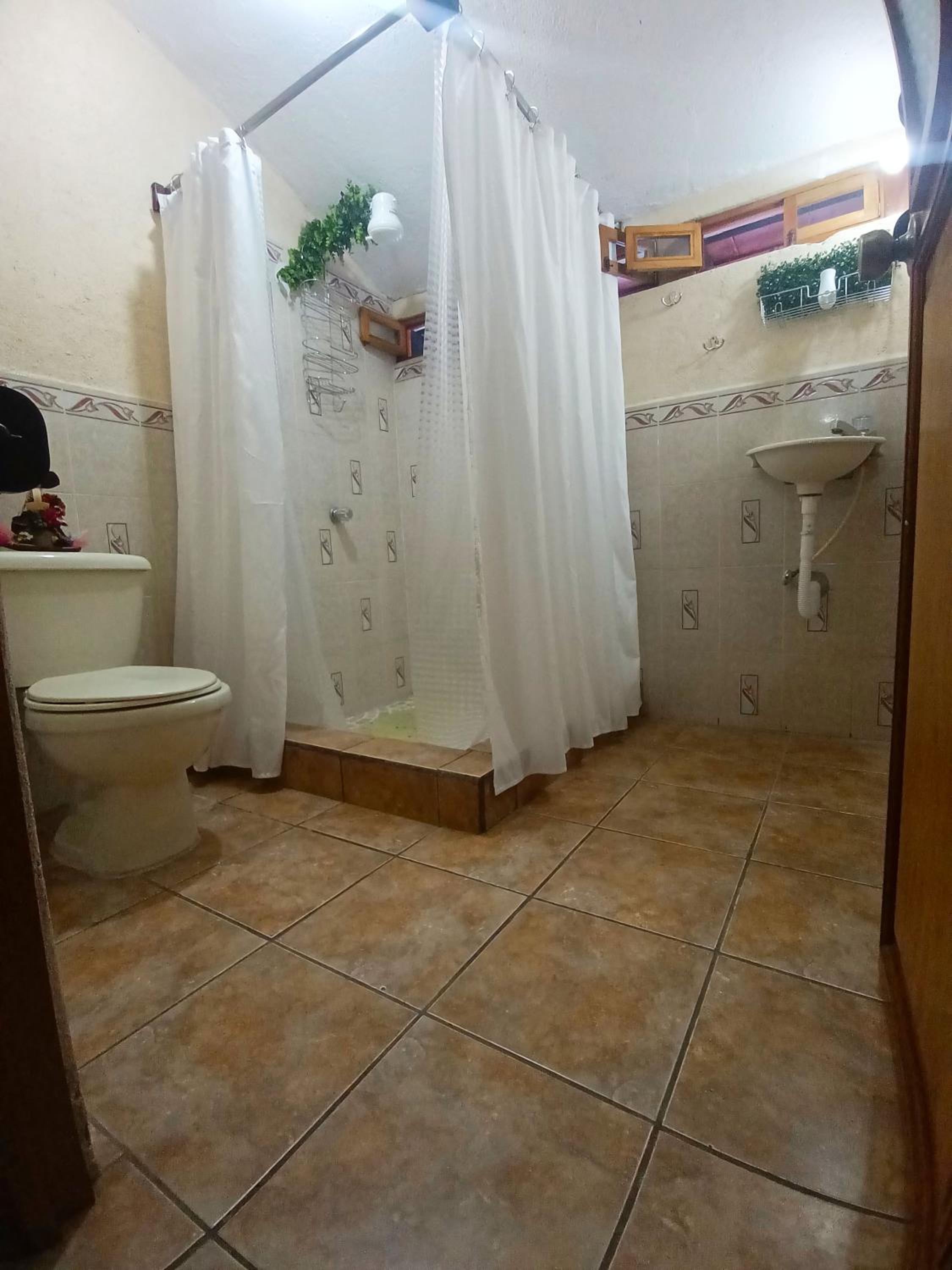 Casa Aguacate