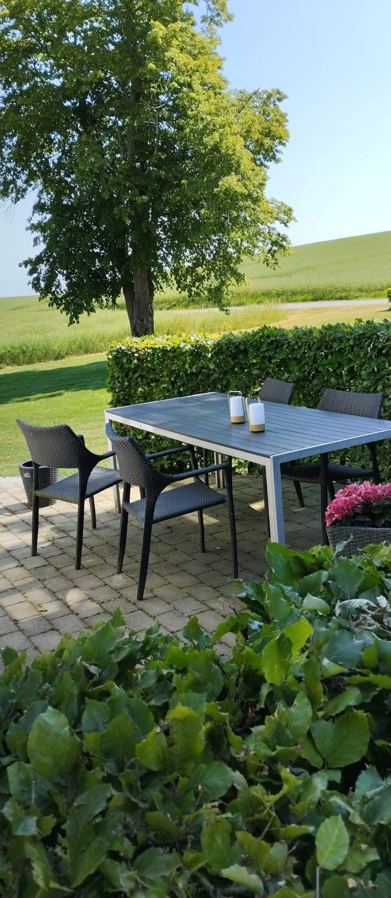Den Hvide Farm
