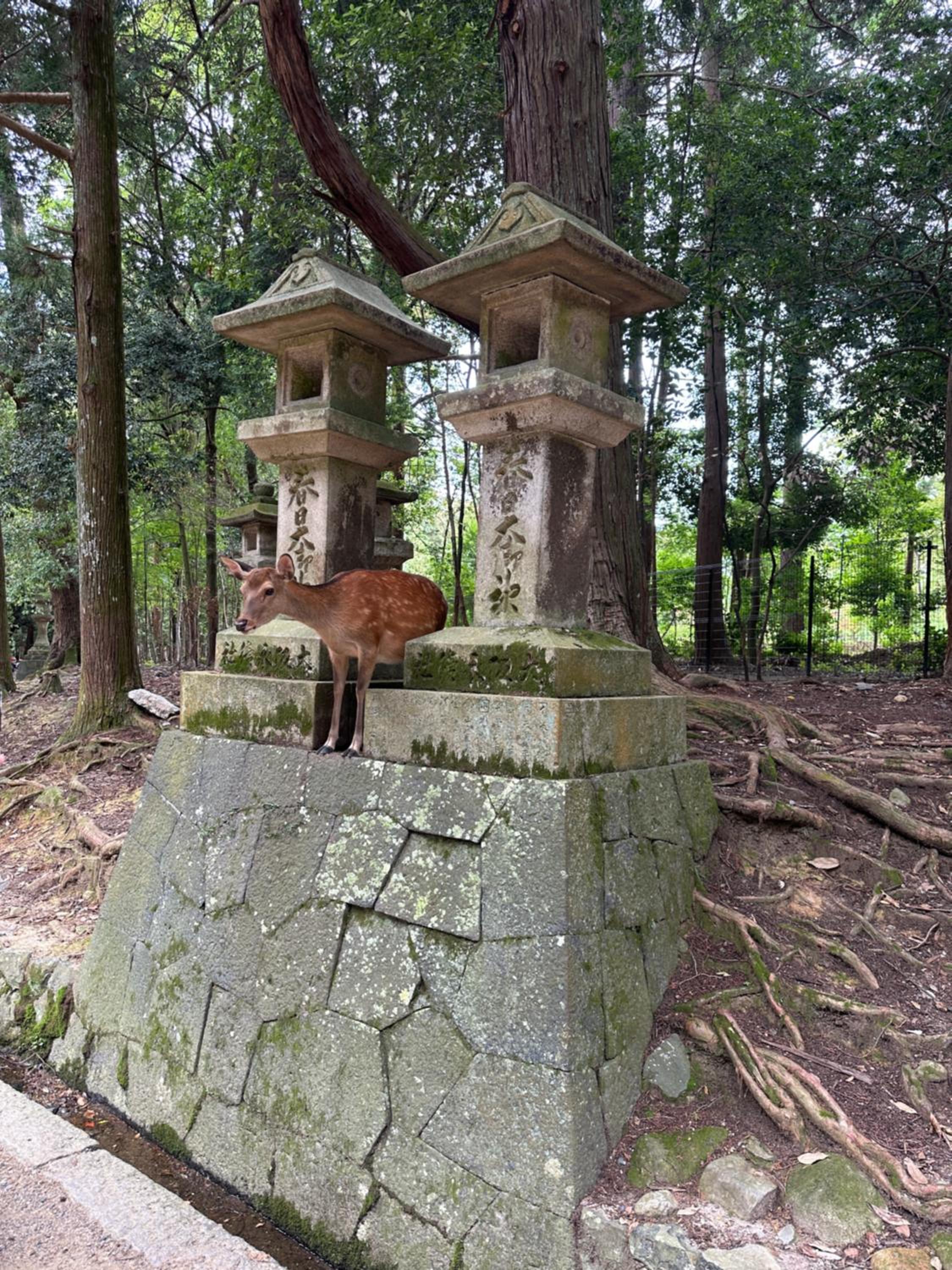 Ryokan Kousen