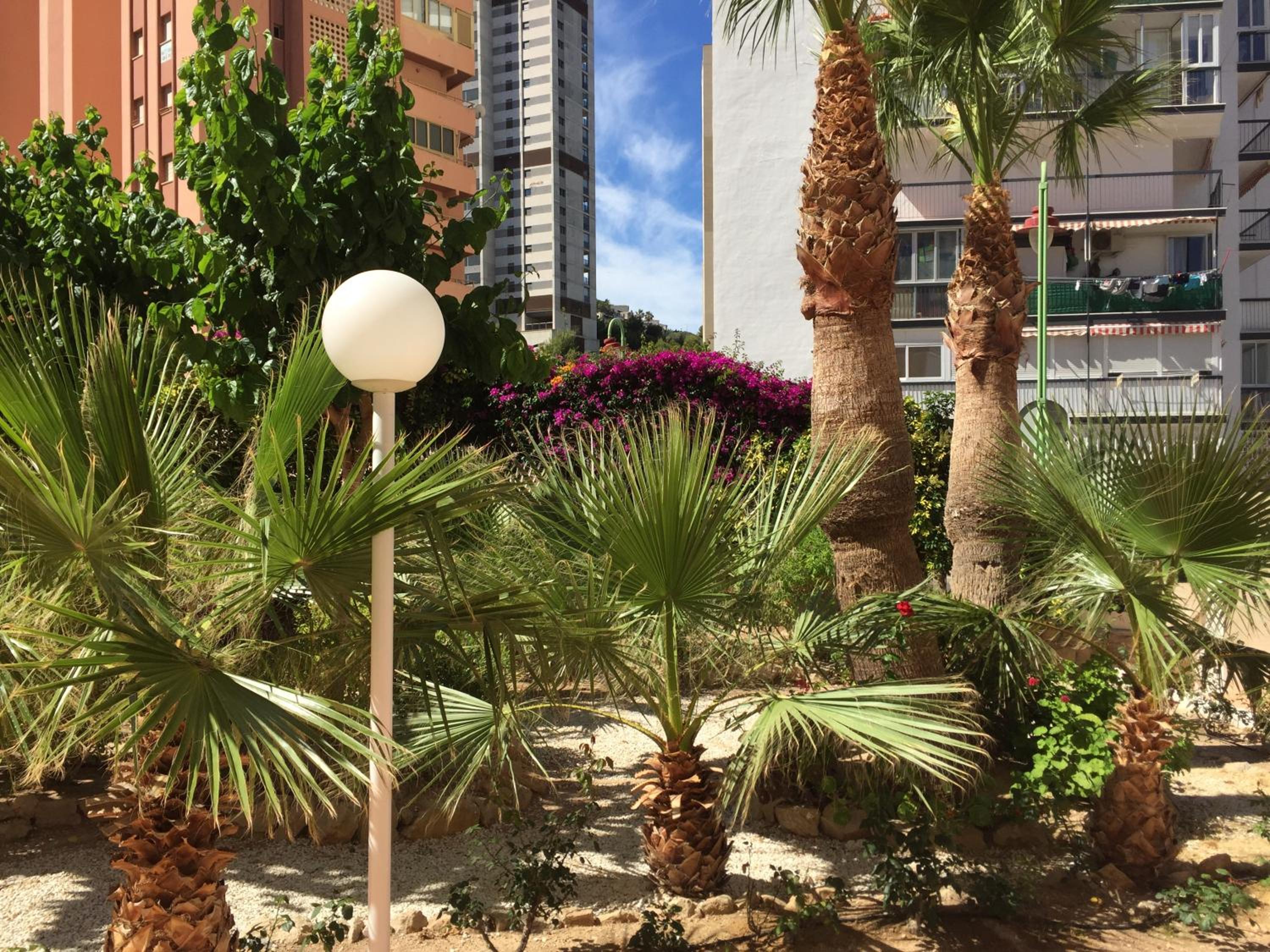 Panorama Benidorm Torre Montecarlo