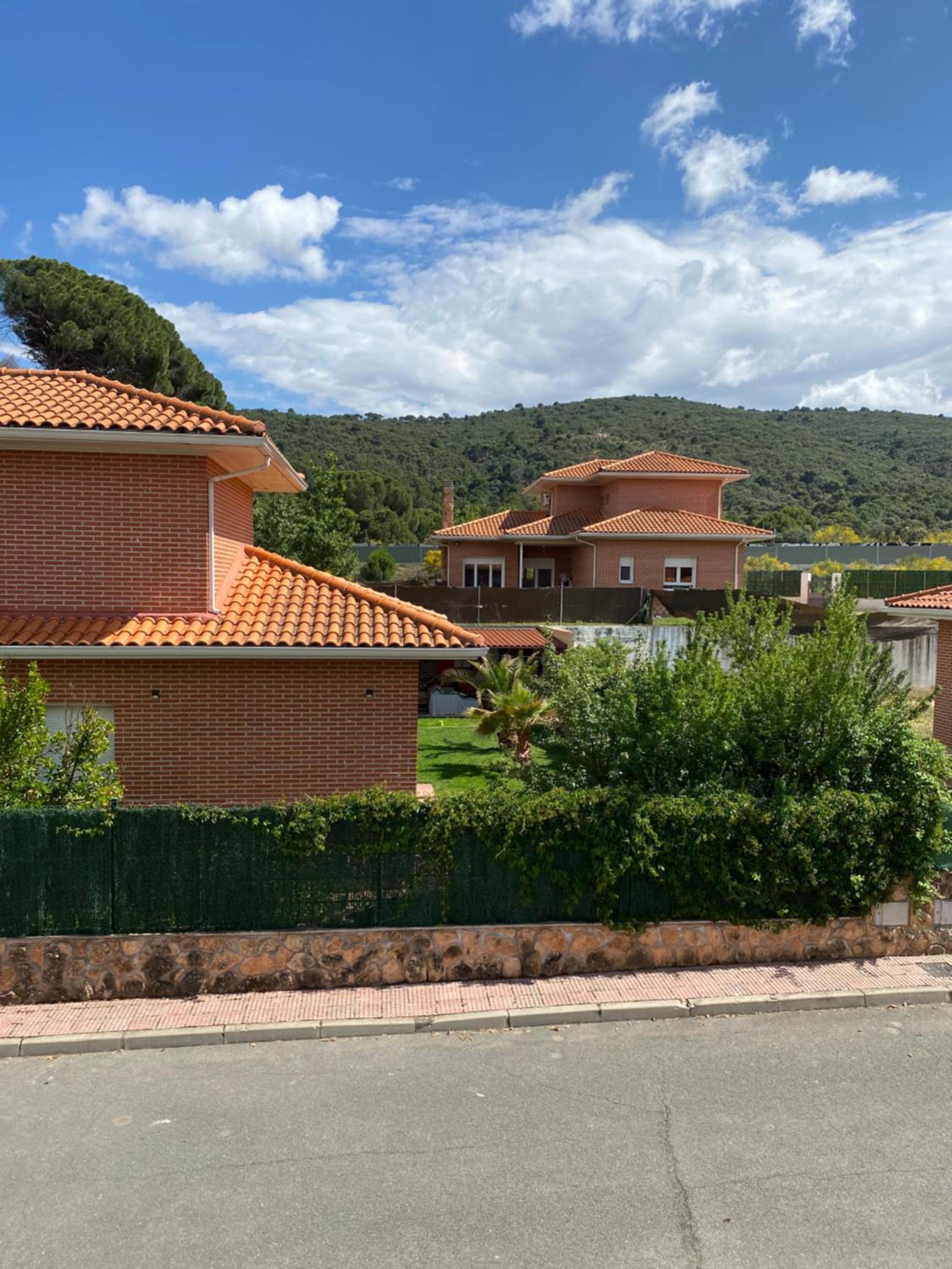 Gorriones