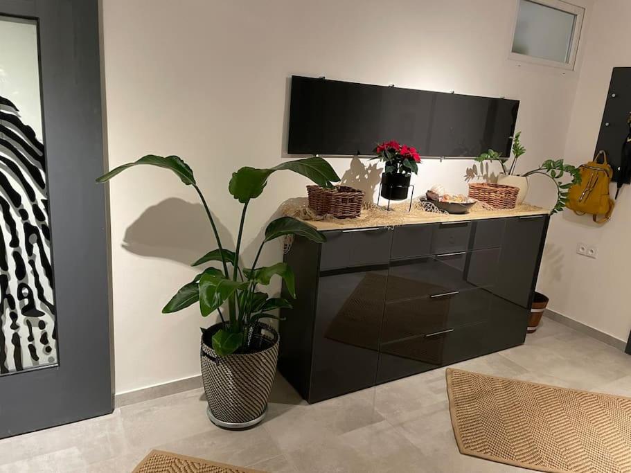 Luxury Private holiday in Prague - all house