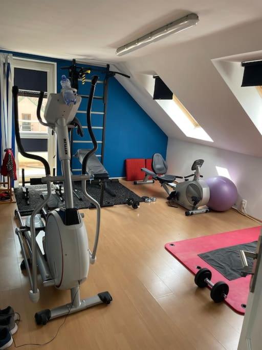 Luxury Private holiday in Prague - all house