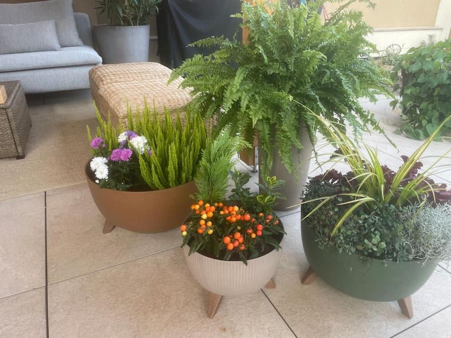 Luxury Private holiday in Prague - all house