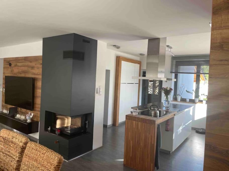Luxury Private holiday in Prague - all house