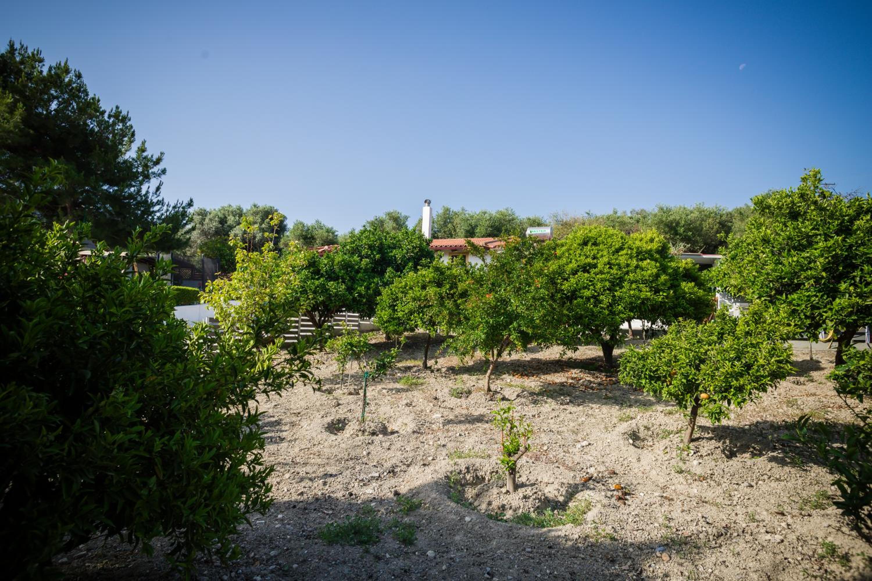Villa Metochi