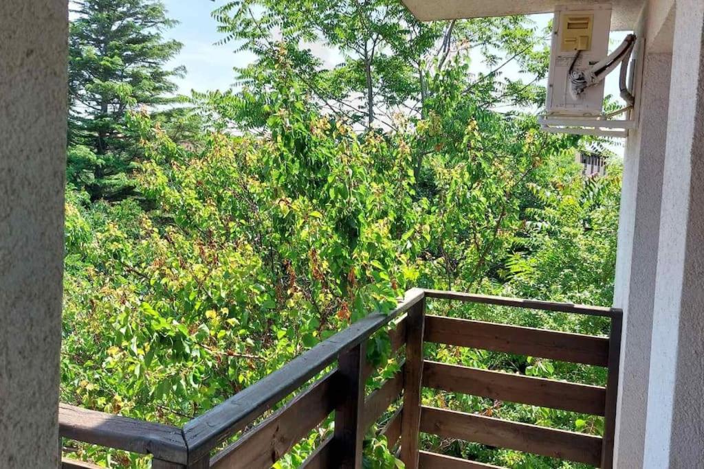Cozy, spacious apartment near Paradise Bay