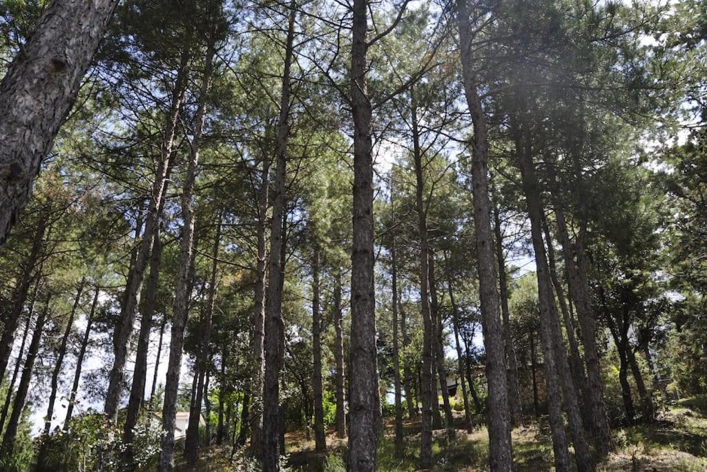 La cabaña del Burguillo