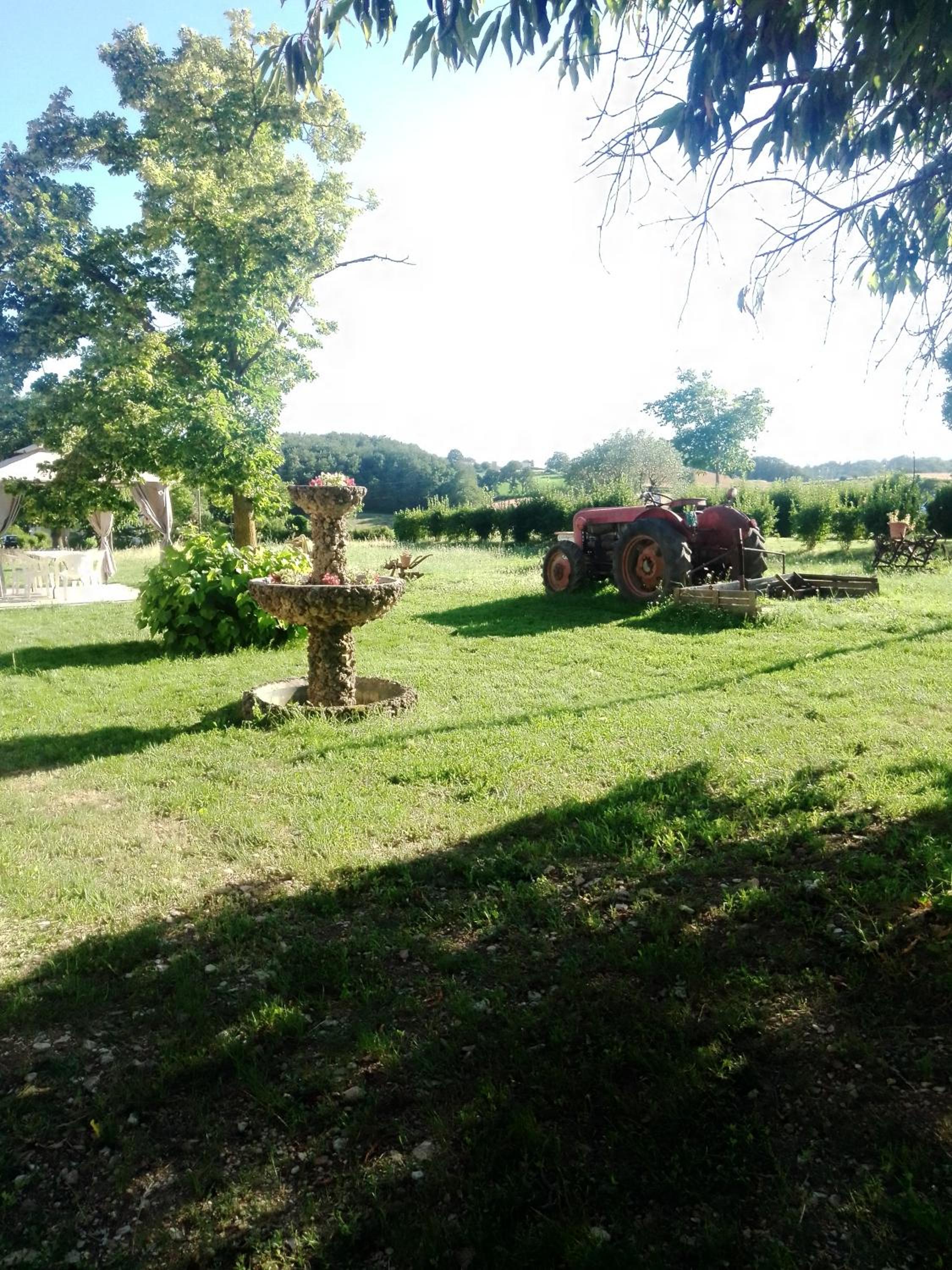 Photo 10