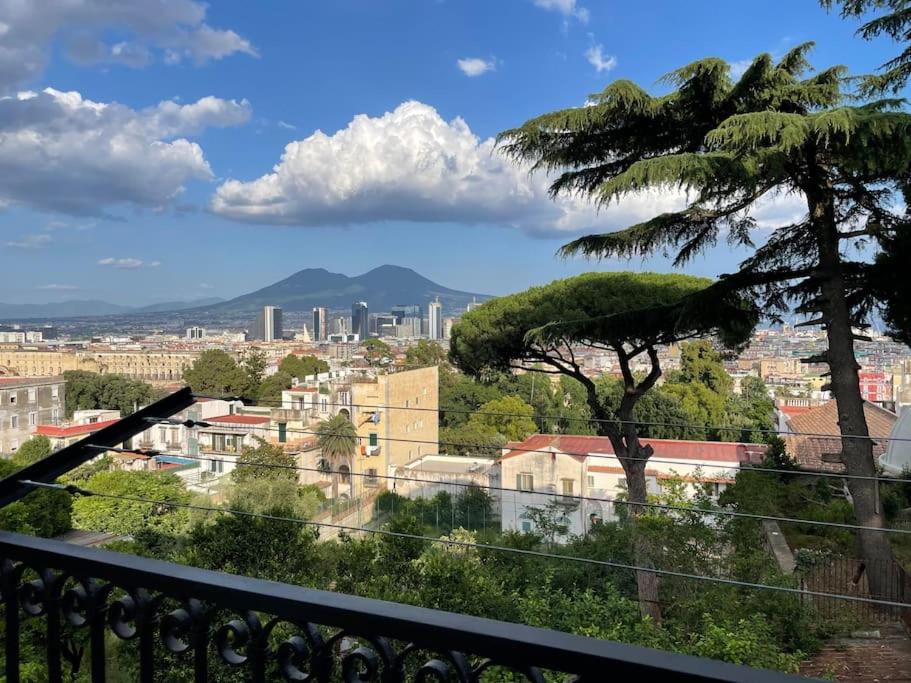 Apartment luxury panoramic