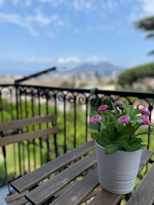 Apartment luxury panoramic