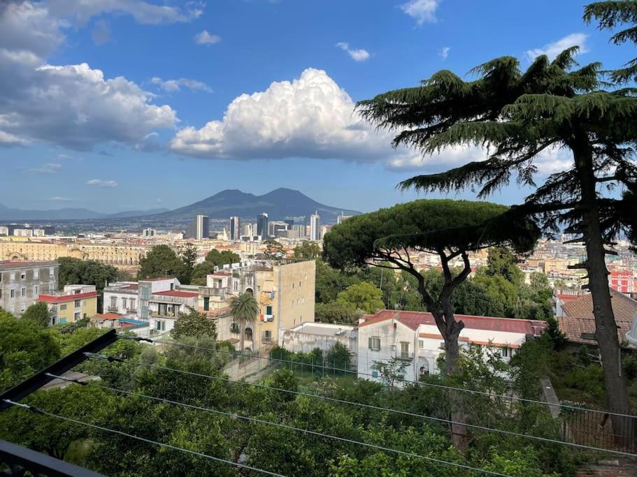 Apartment luxury panoramic