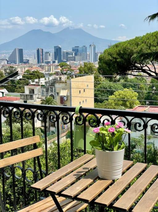 Apartment luxury panoramic