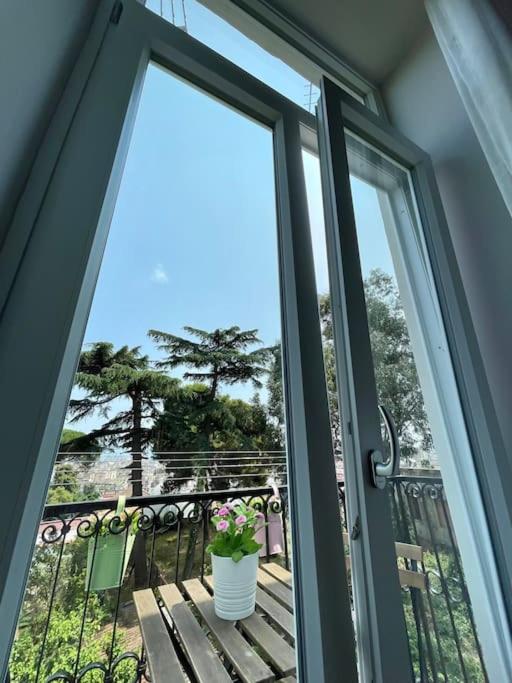 Apartment luxury panoramic