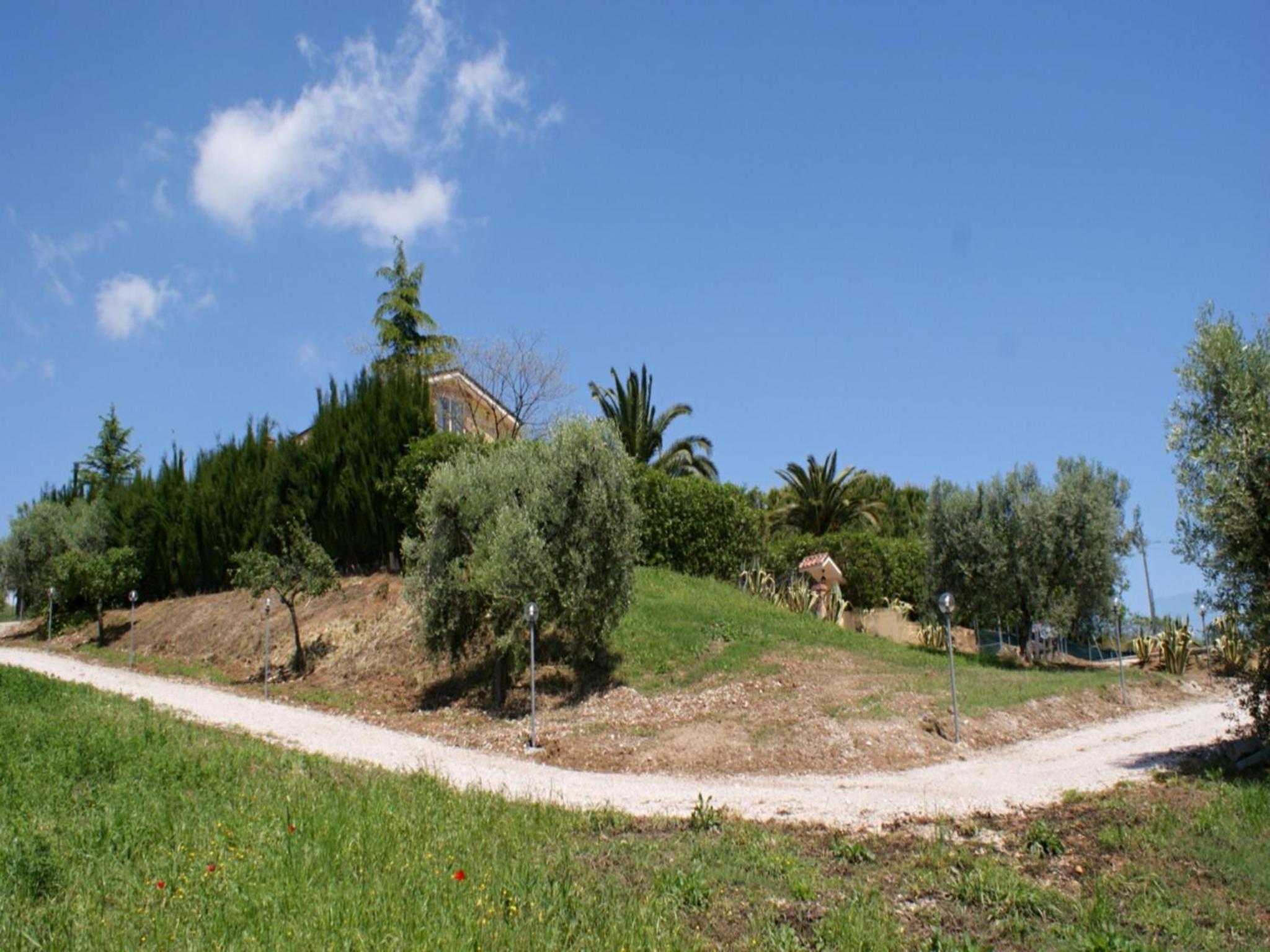 Photo 28