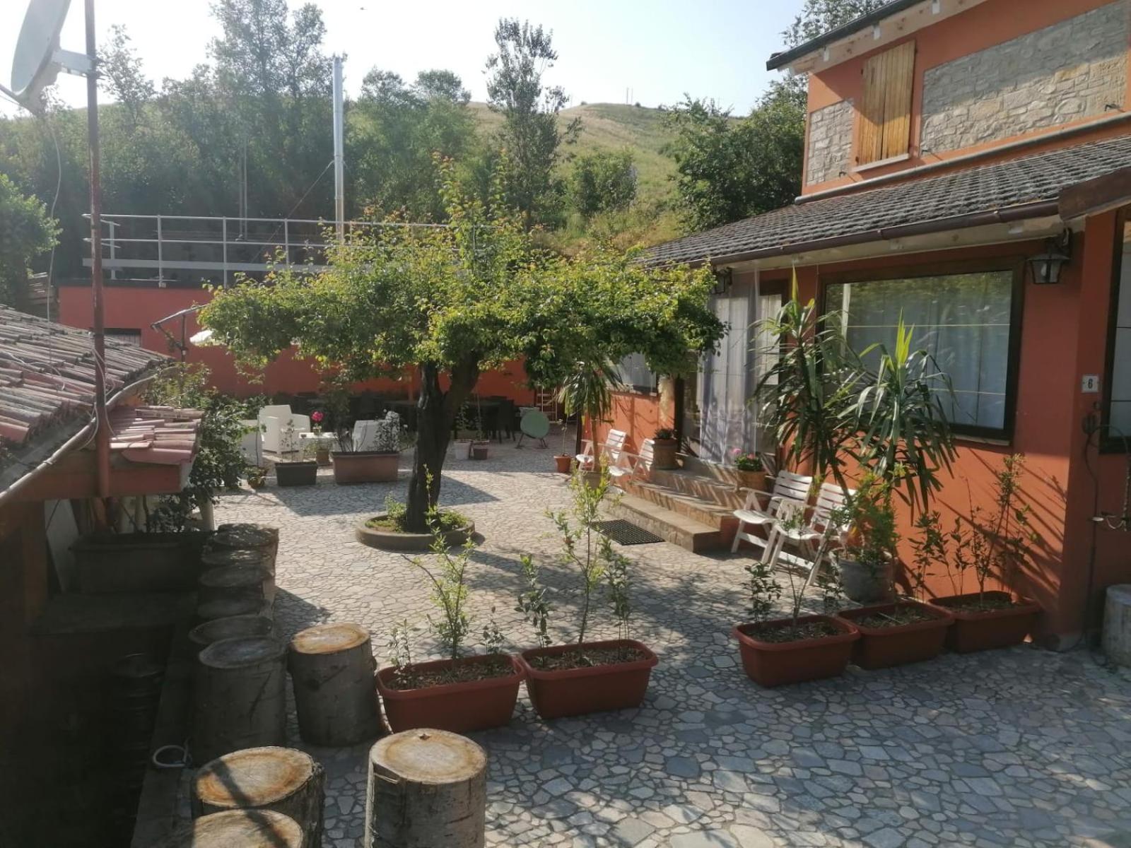 Photo 12