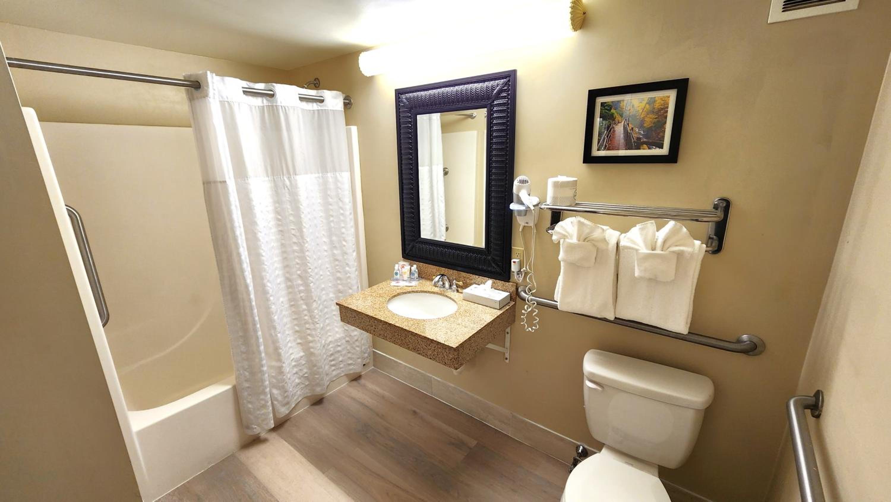 Mount Pocono Vacations - Comfort Inn  Suites Mount Pocono - Property Image 13