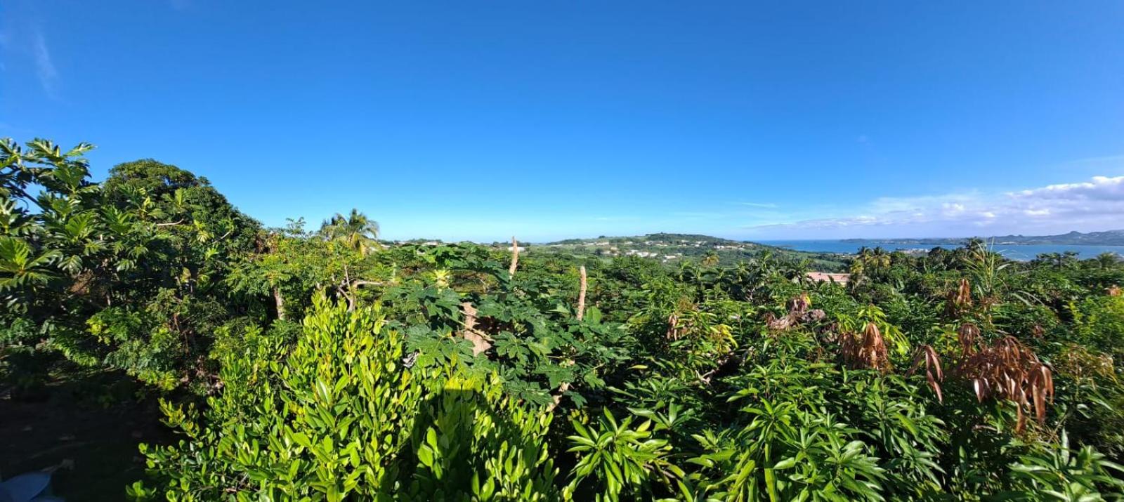 Zowanj - Logement avec vue panoramique view 2