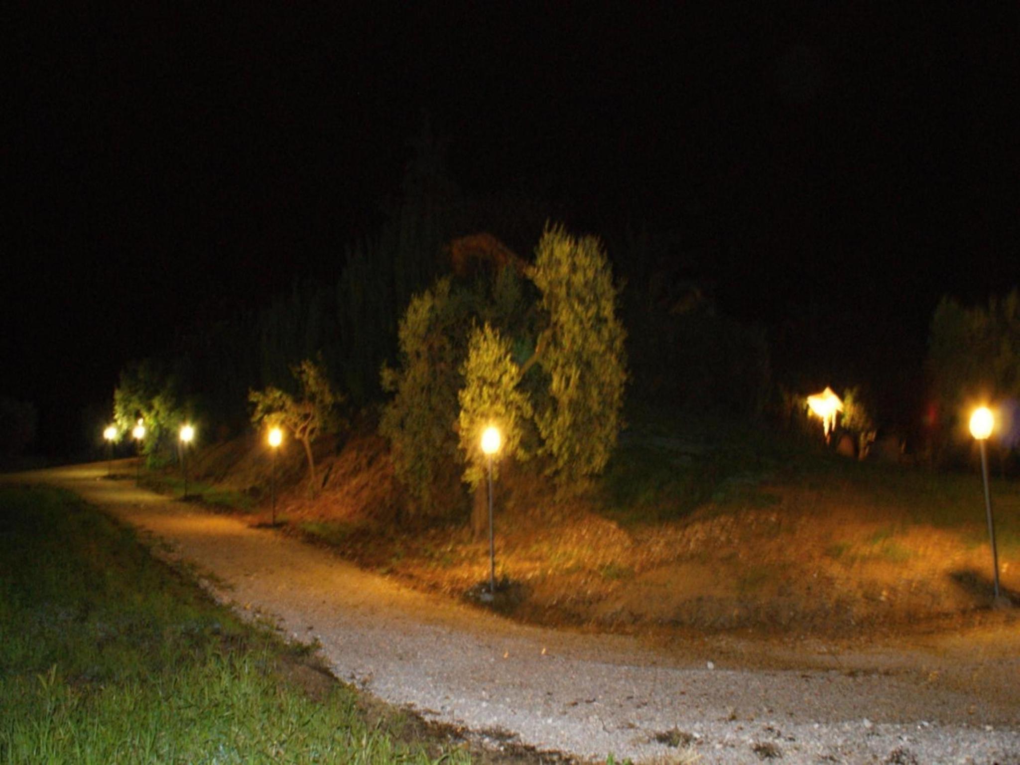 Photo 43