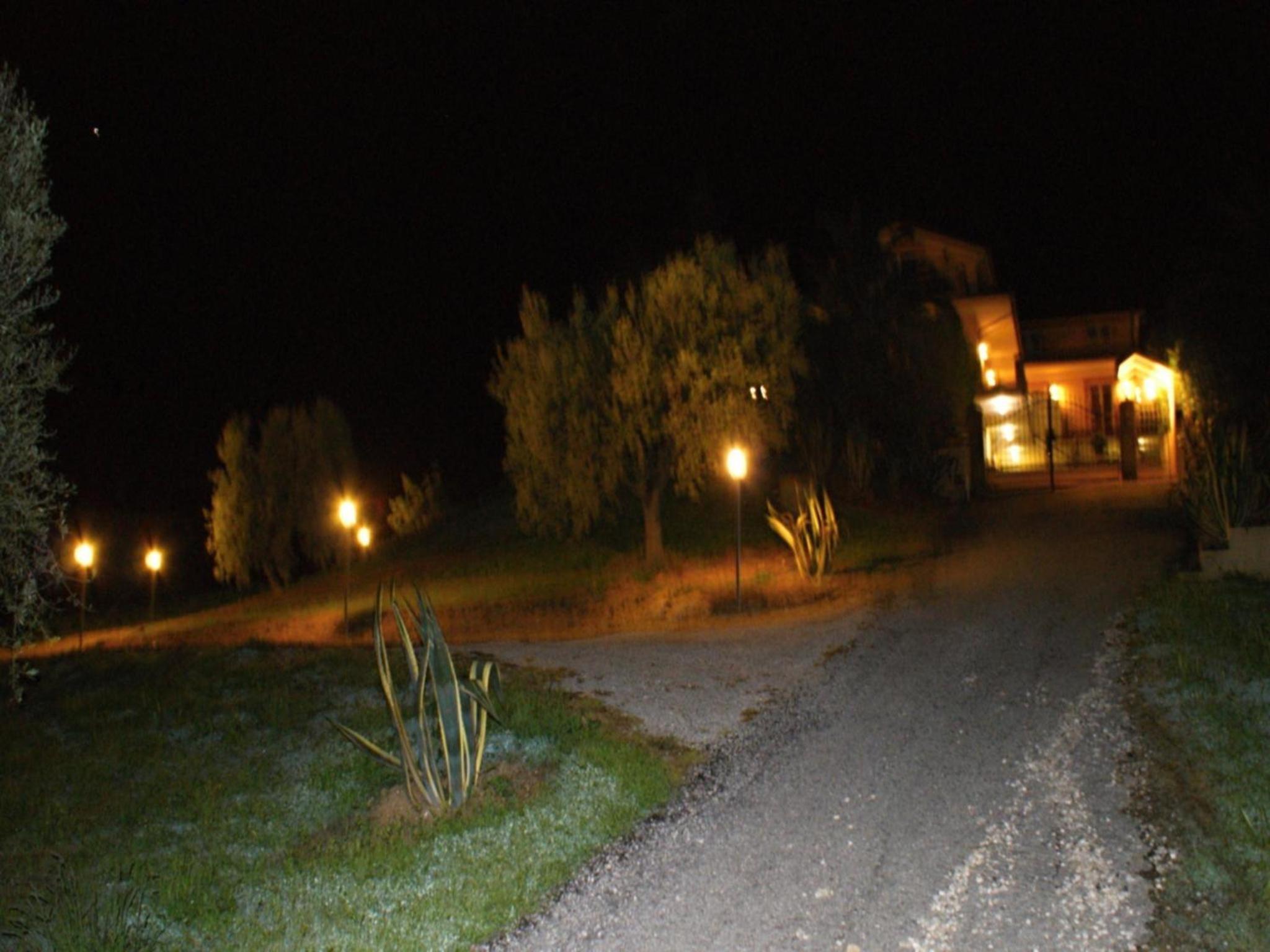 Photo 42