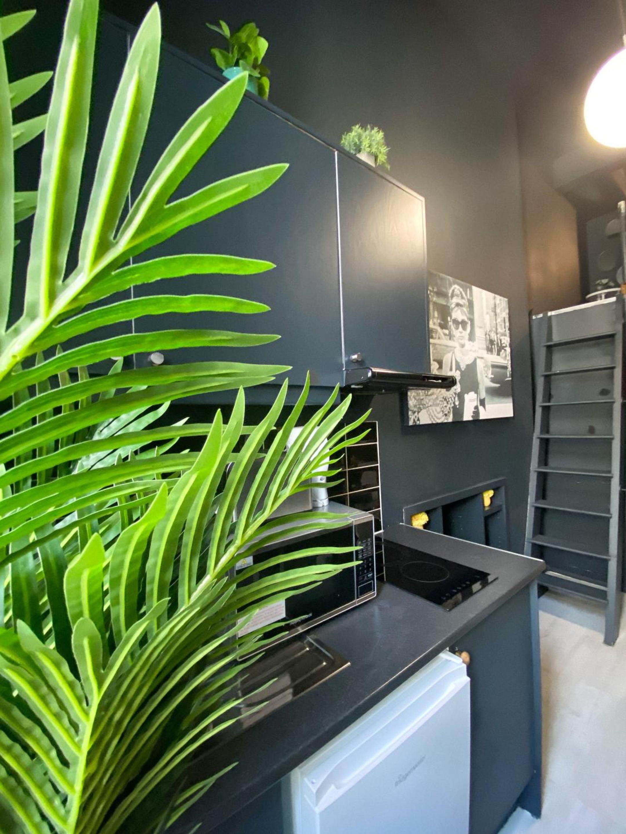 Modern Studios Close To Hyde Park