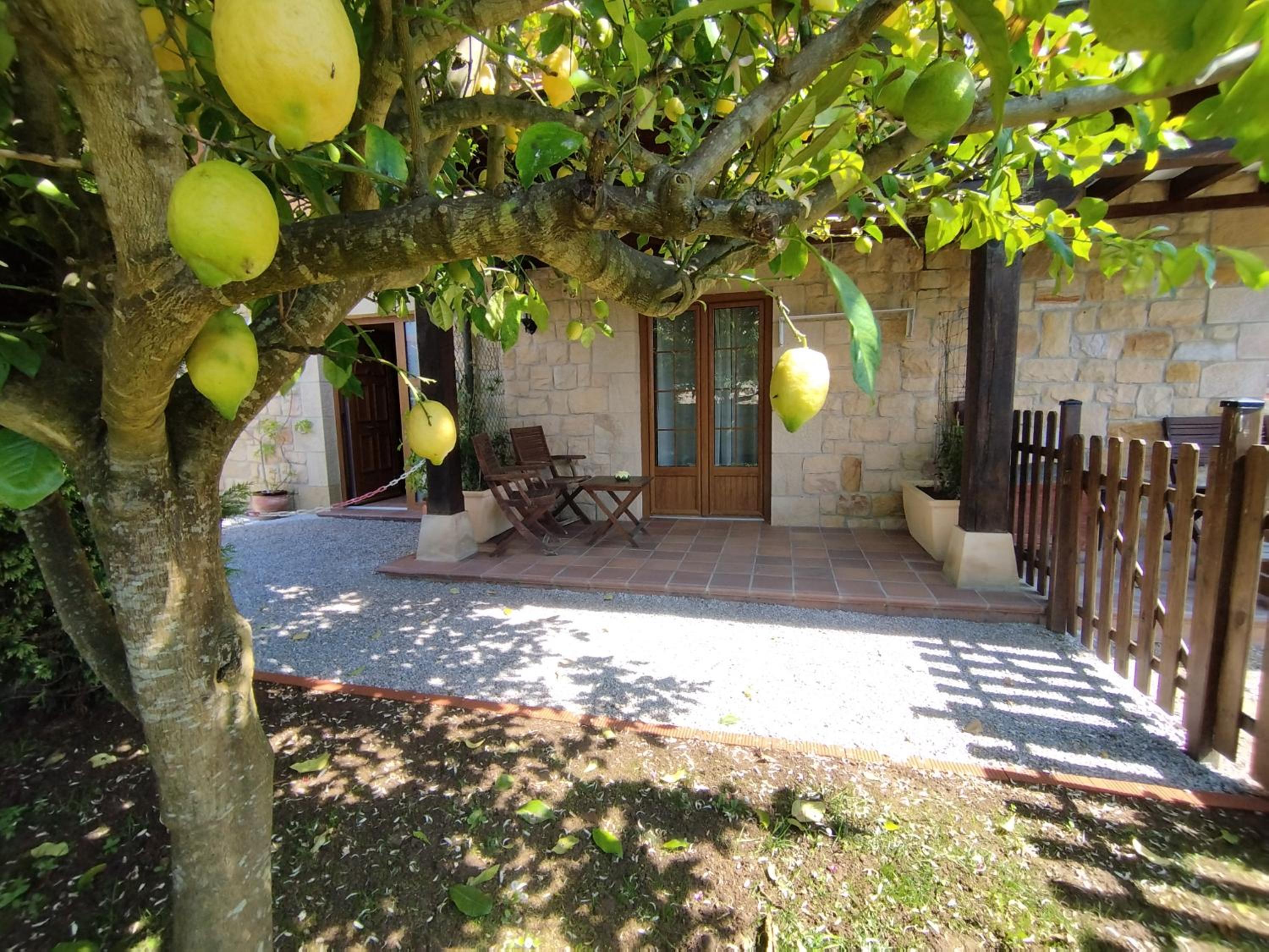 Apartamentos Altamira