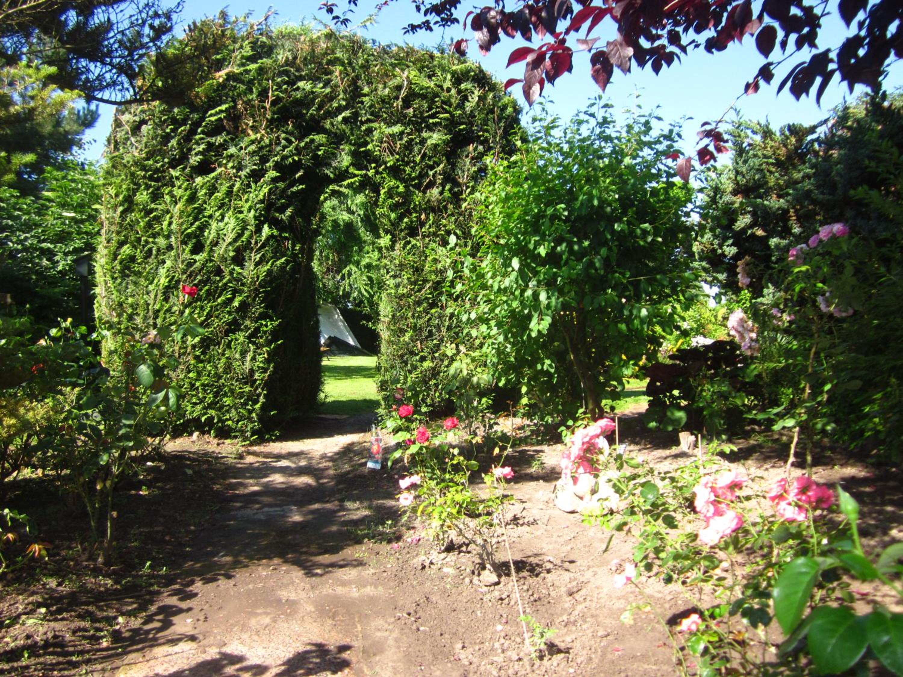 Photo 16
