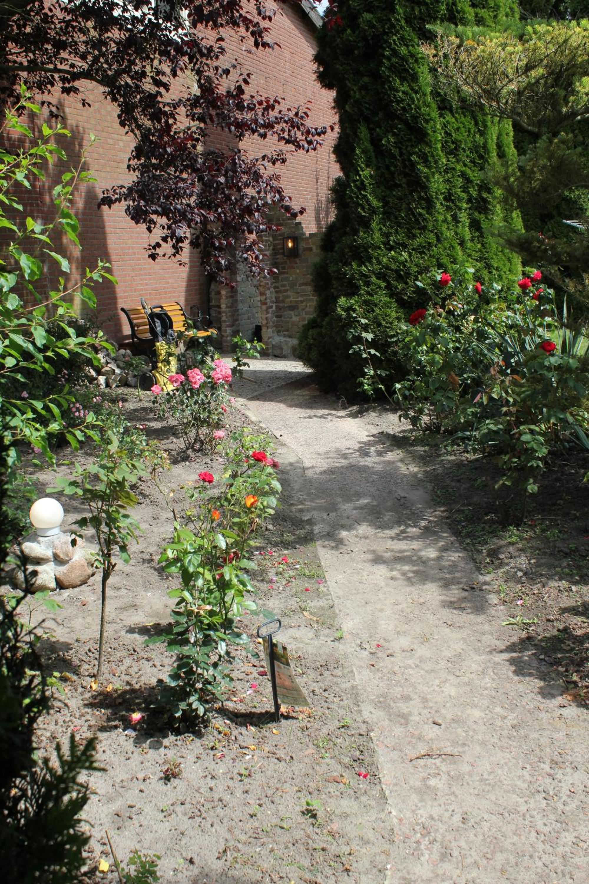 Photo 17