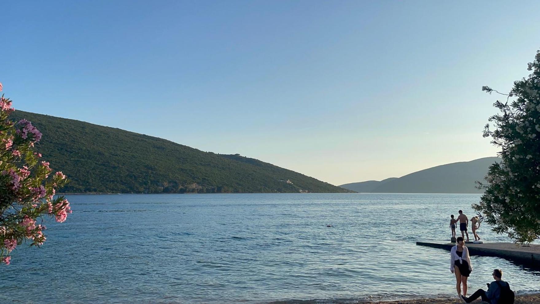 Galeb