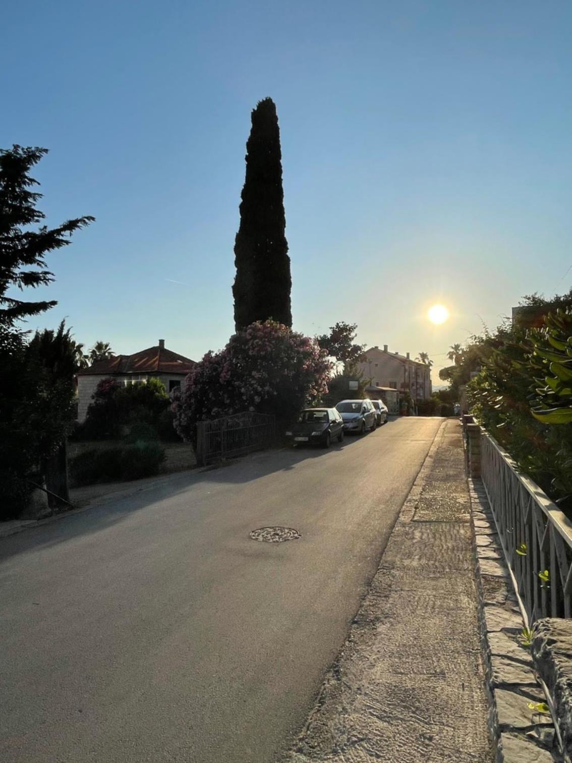 Galeb