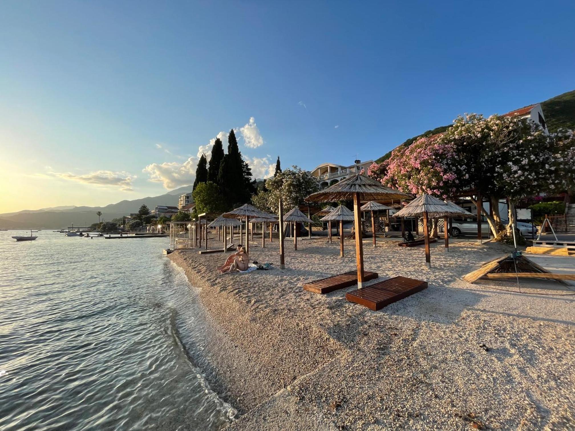 Galeb