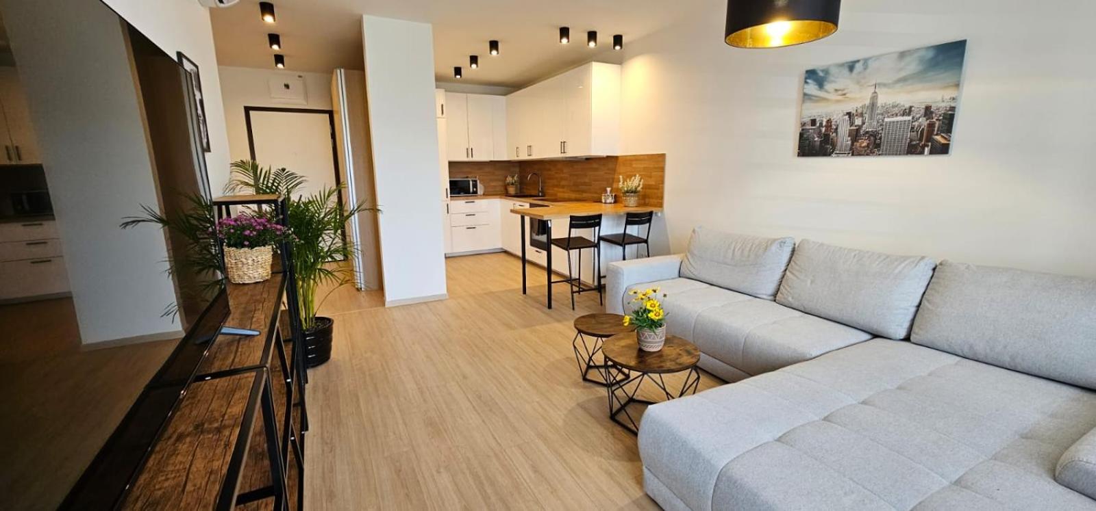 2 room Apartment, new building, Bosákova street, 49