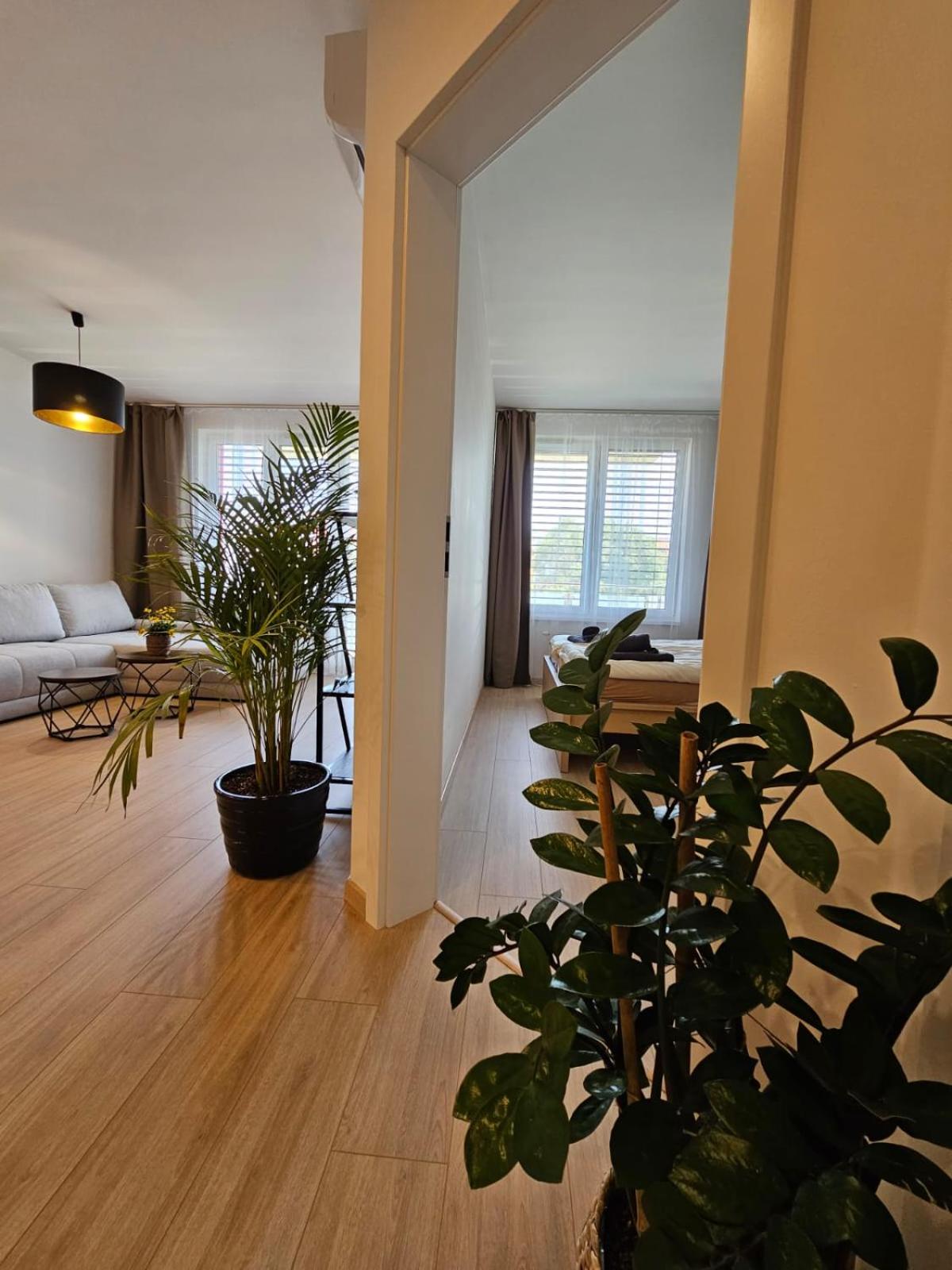 2 room Apartment, new building, Bosákova street, 49
