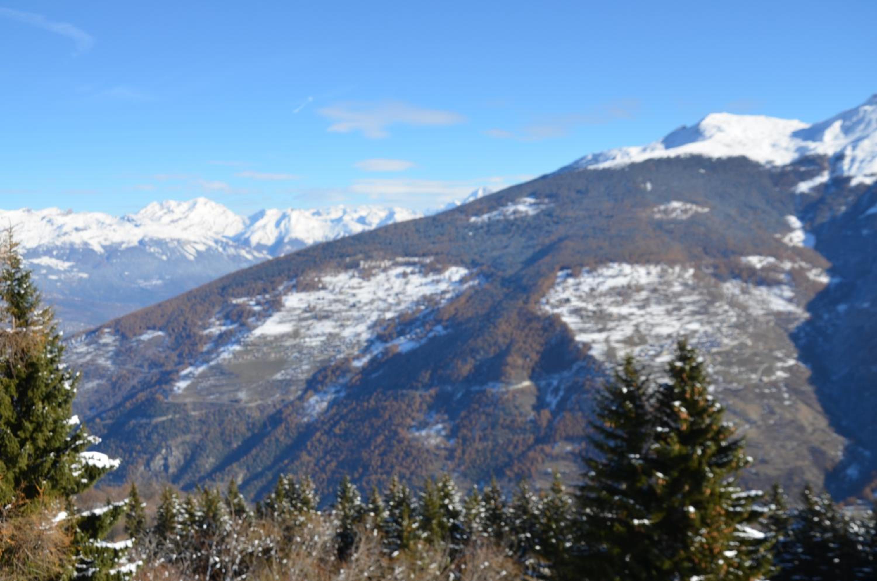 Immeuble Panorama