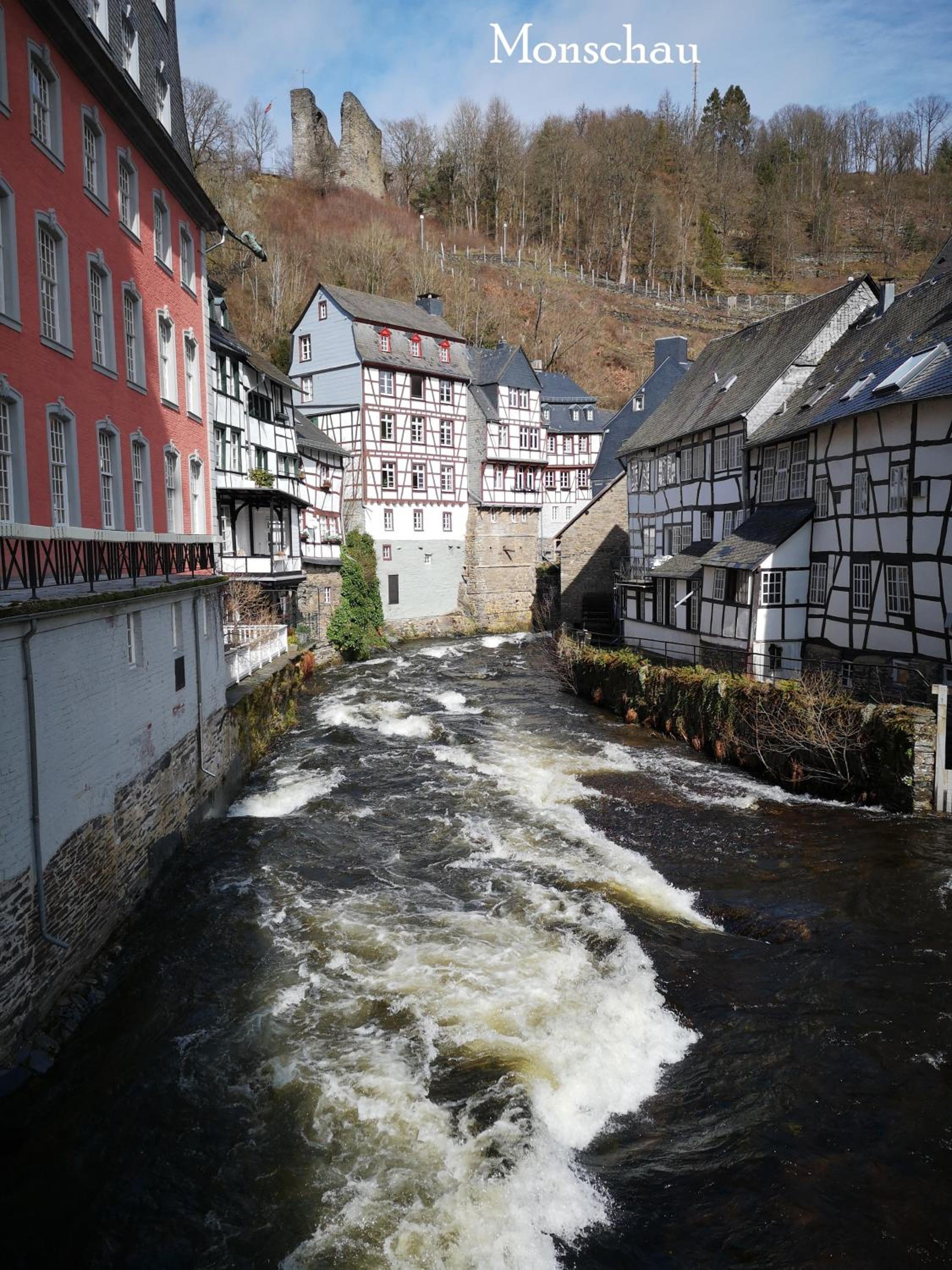 Ferienwohnung in Waldrandlage in Nationalpark Schleiden / Eifel