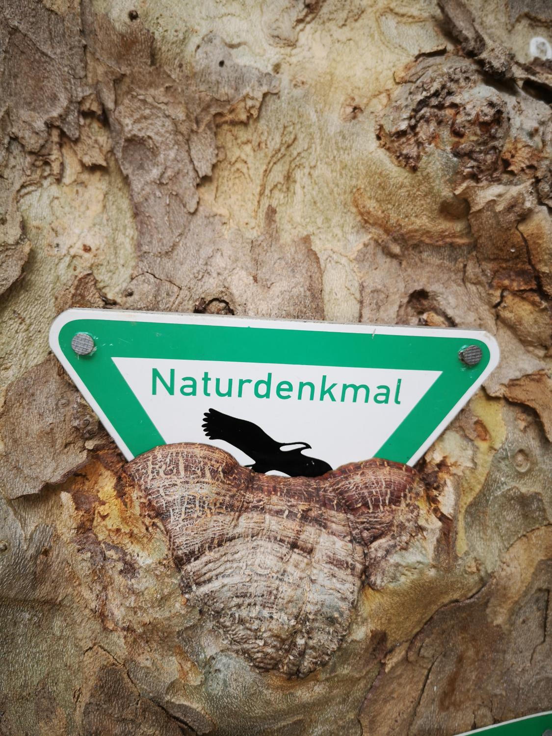 Ferienwohnung in Waldrandlage in Nationalpark Schleiden / Eifel