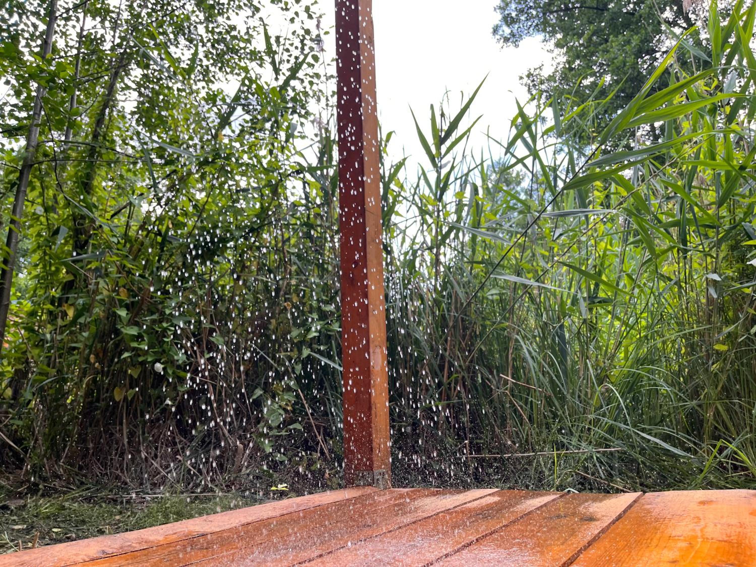 Häuschen in den Erlen