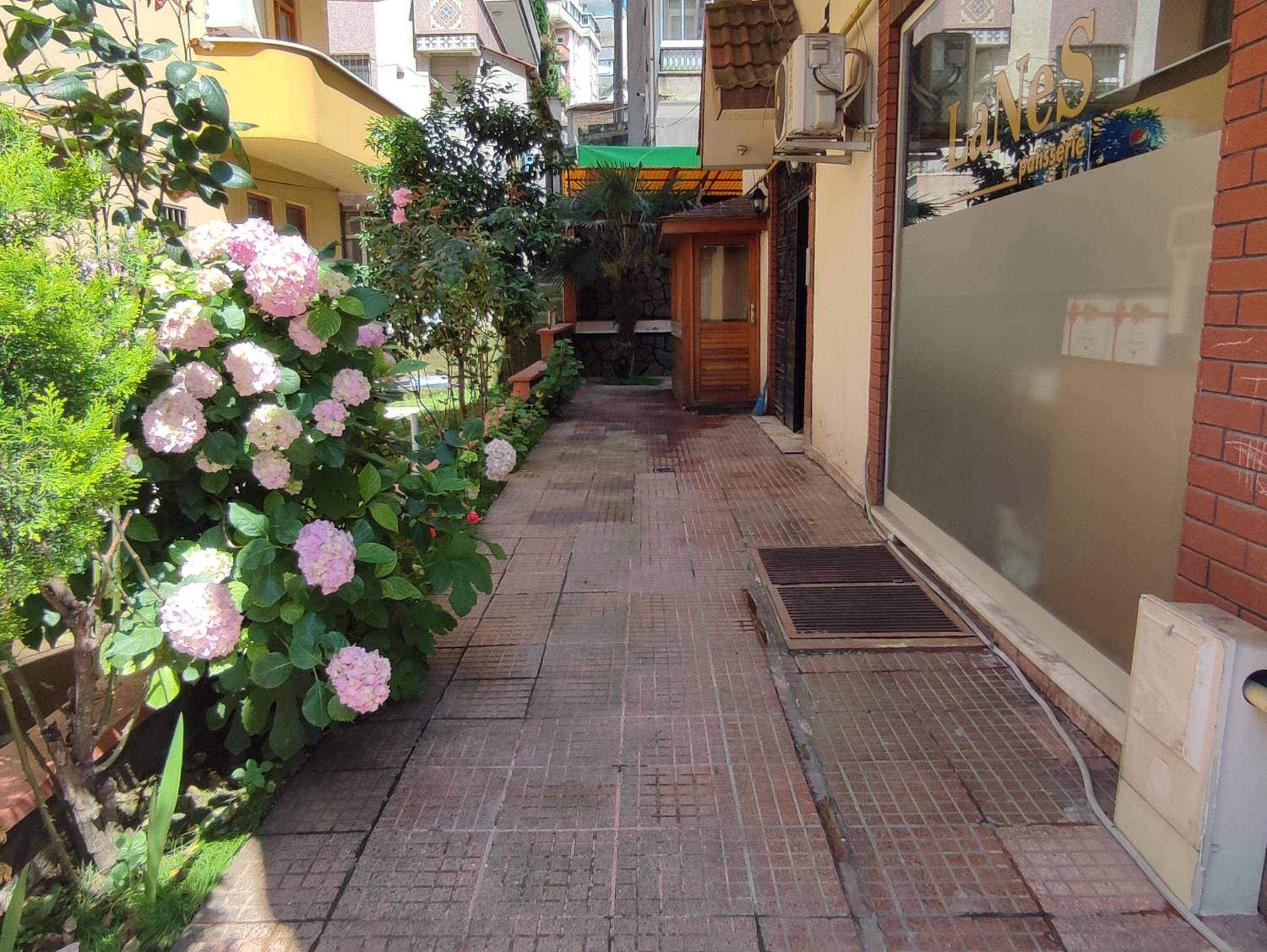 Photo 41