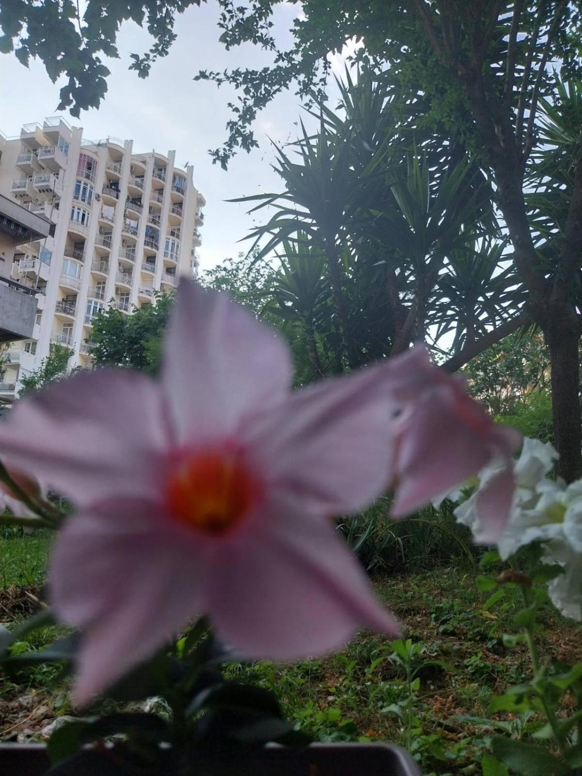 Apartment Happy