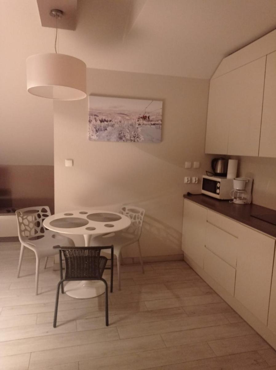 Apartament Tignes Czarna Góra view 5