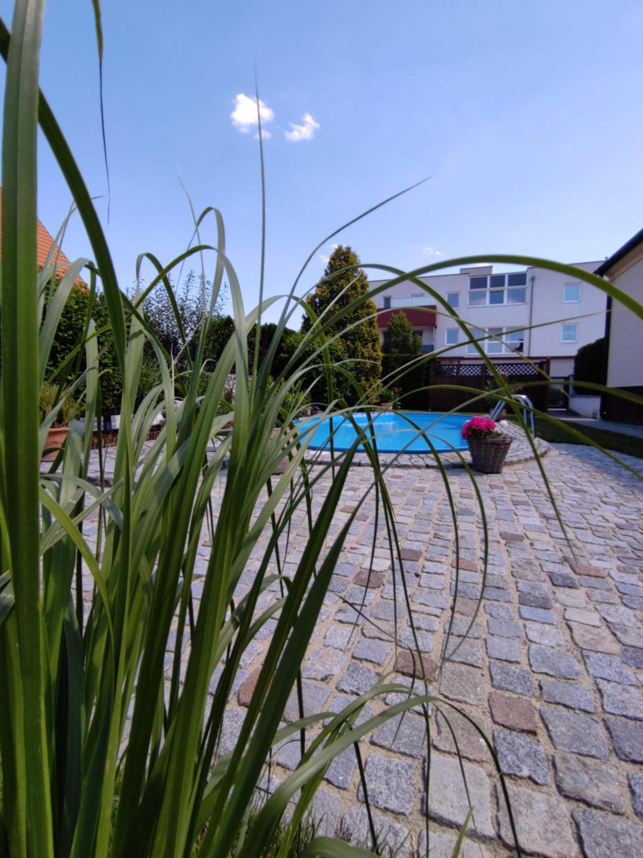 Appartement Ferienhaus Sonnenhain