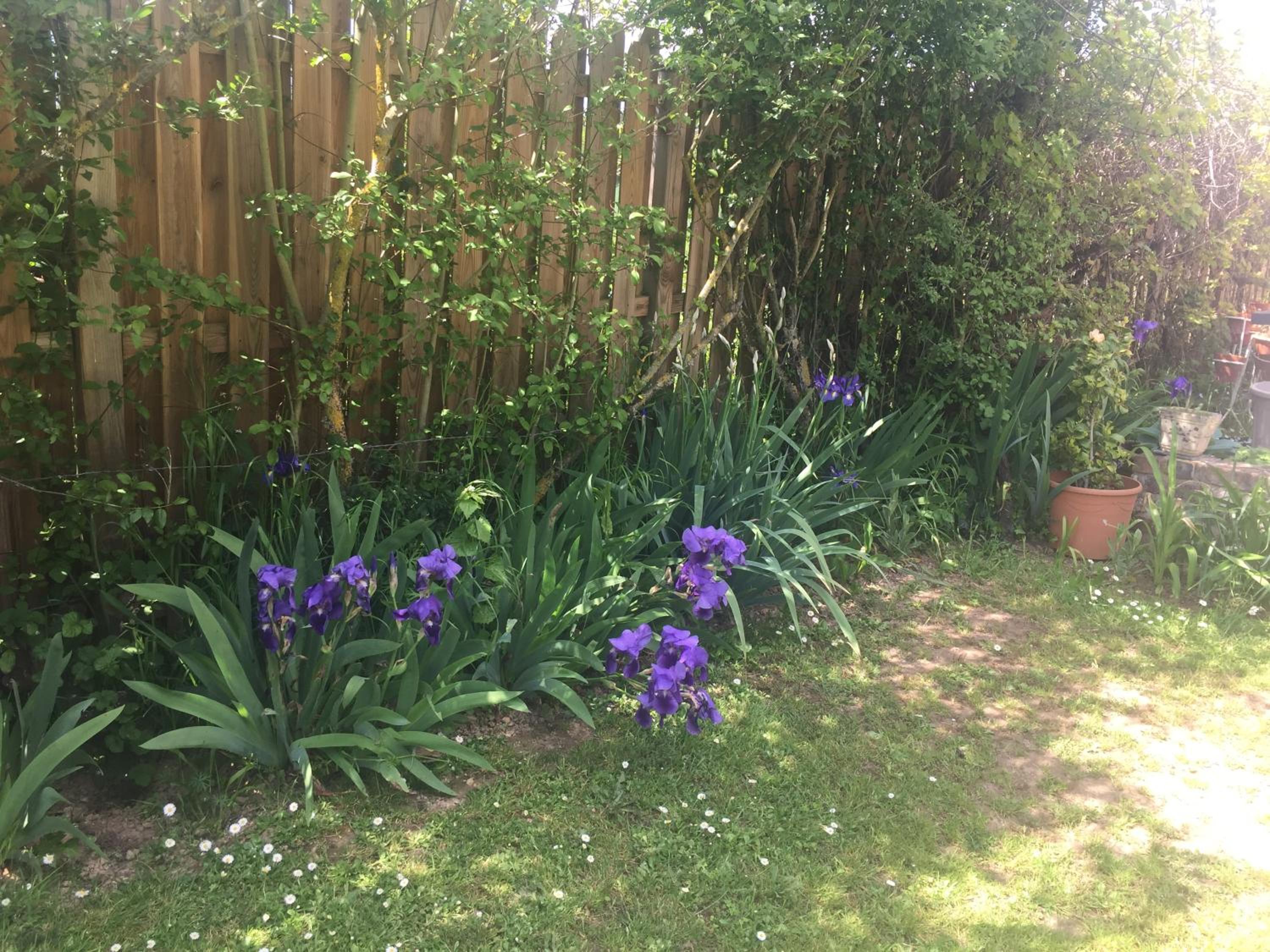 Photo 12