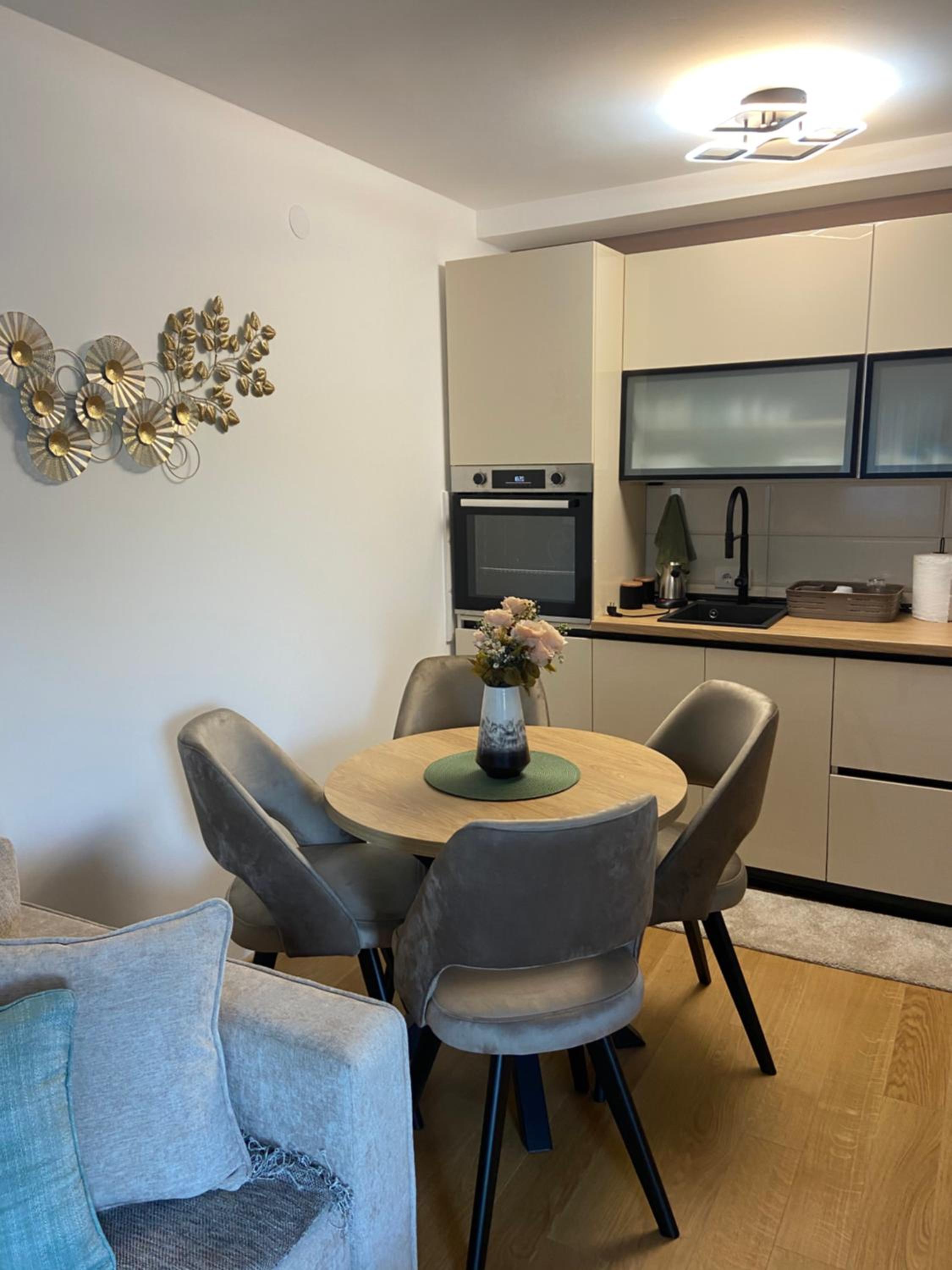 Soul Apartment Vrnjačka Banja