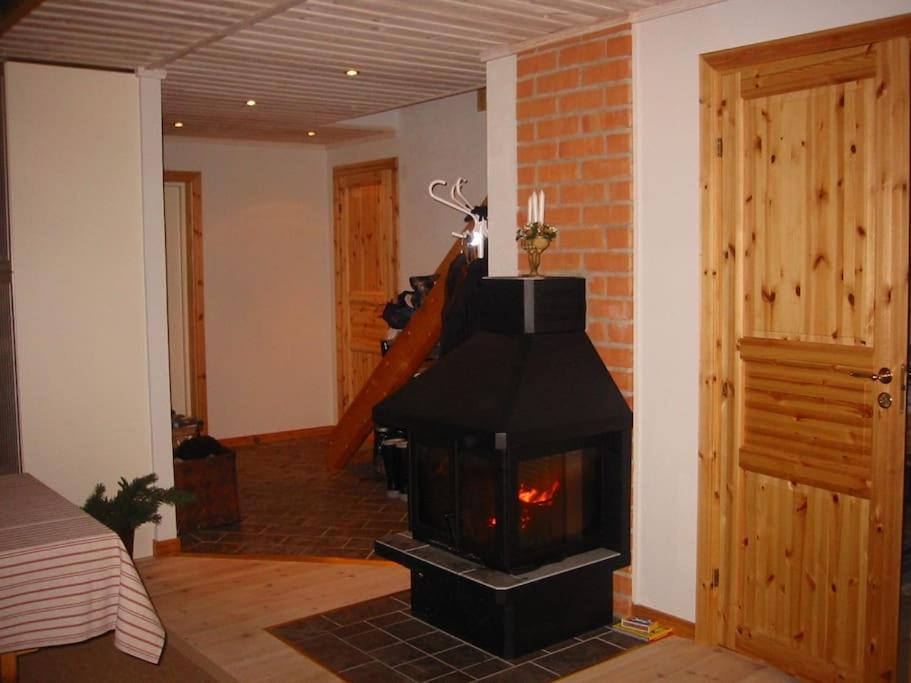 Photo 11