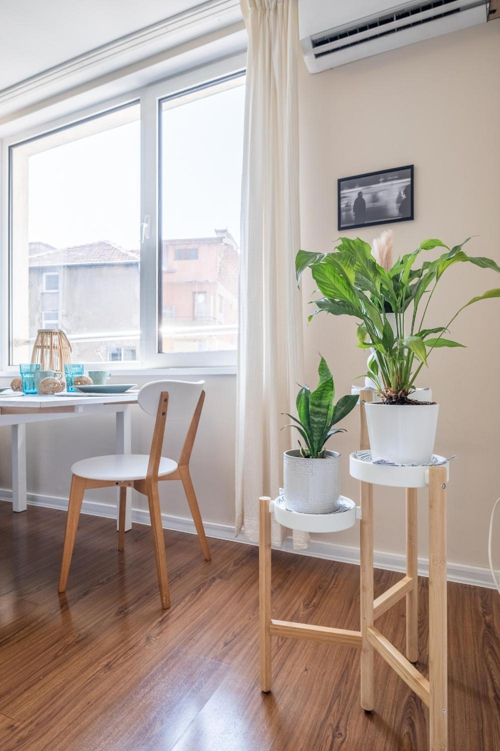 City Oasis: Stylish Retreat in the Heart of Sofia