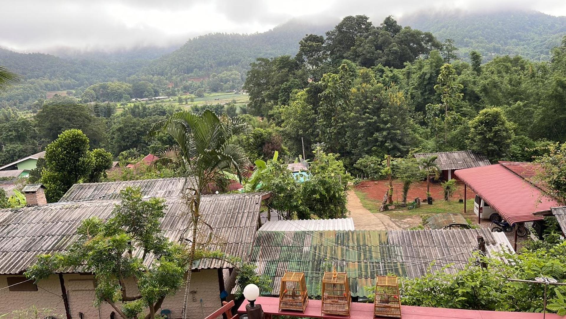 Forest Guesthouse