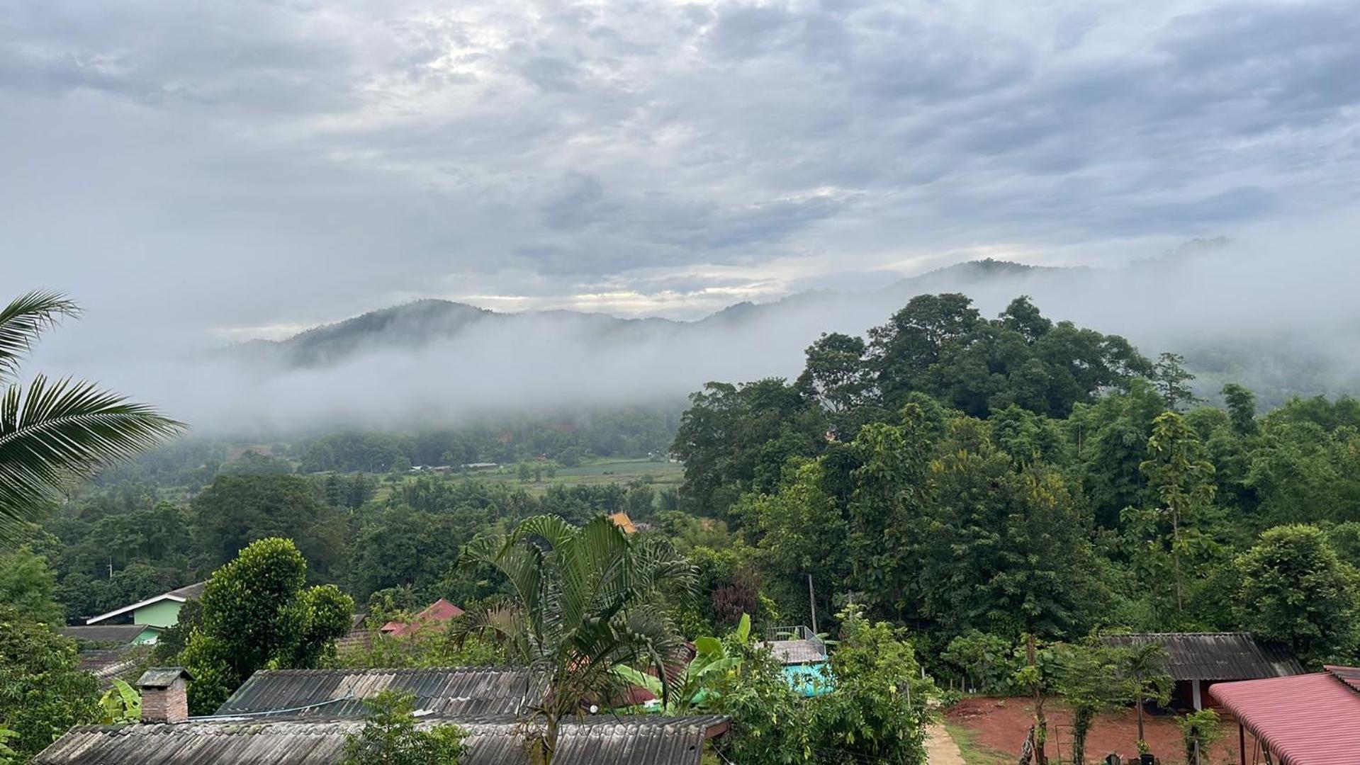 Forest Guesthouse