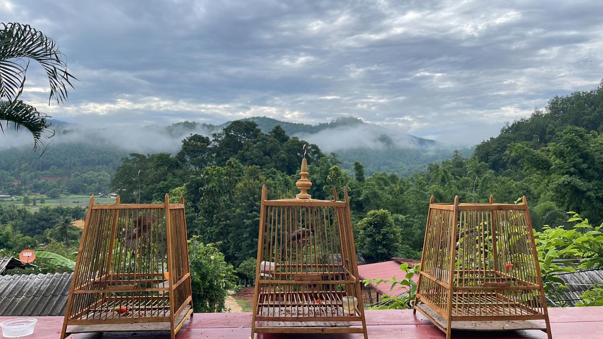 Forest Guesthouse