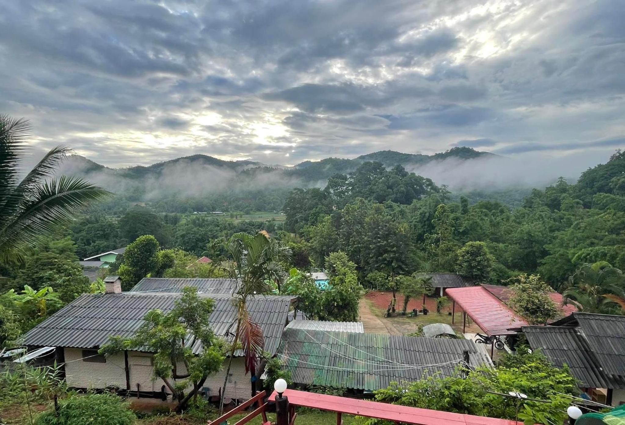 Forest Guesthouse