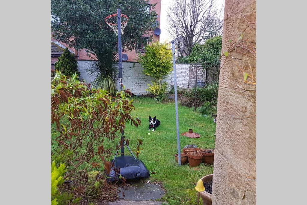 Photo 27